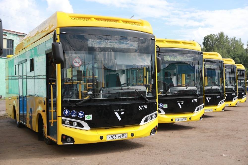 Ярославские автобусы оформят в едином стиле