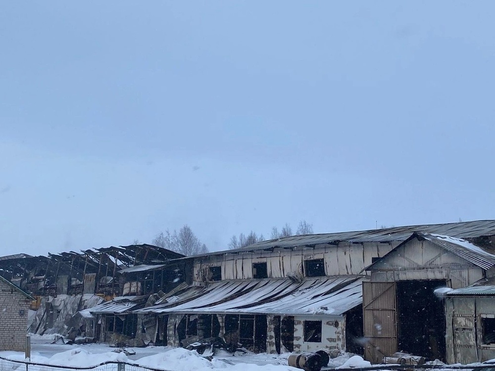 Сгоревший в Гаврилов-Яме завод «Сады Аурики» приостановил работу .