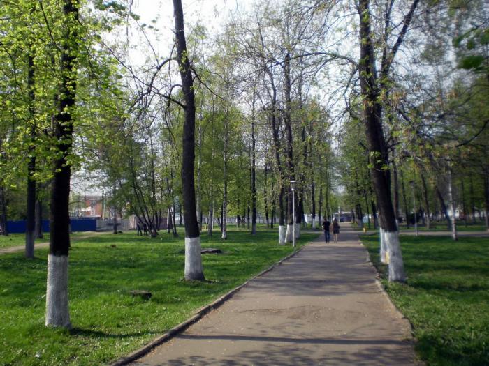 УФАС требует расторгнуть десятки договоров с арендаторами мест в ярославских парках