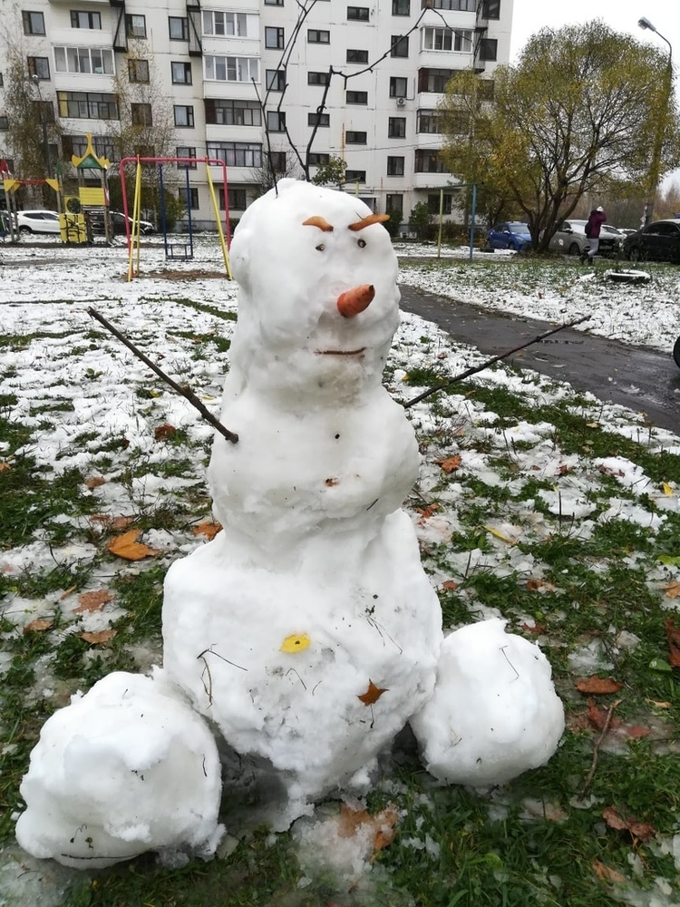 Ярославцы лепят первых снеговиков