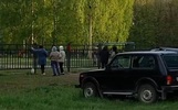В Ярославле собак отпускают на самовыгул на школьную спортплощадку
