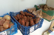 Ярославцы пришли в шок от цен на свеклу и морковь