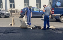 Провал в центре Ярославля начали ремонтировать
