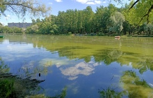 «Превращается в болото»: ярославцы просят почистить водоем в парке «Нефтяник»