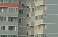 Ярославского «человека-паука» сняли на видео