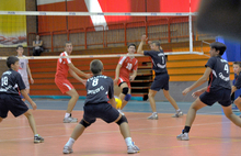 В Ярославле отметили Всероссийский день волейбола. Фоторепортаж
