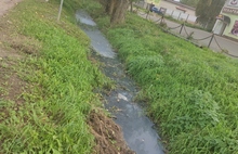Поселки Ростовского района Ярославской области задыхаются от канализации