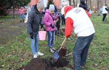В Ярославской области в День отца сажали деревья
