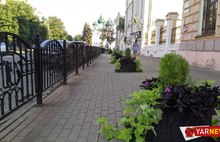 В Ярославле вместо погибших деревьев появились клумбы с цветами