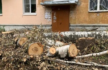 Раскопали и пропали: в Ярославле жители жалуются на затянувшееся благоустройство дворов