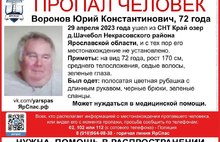 «Увезли на машине»: 72-летний ярославец исчез в Некрасовском районе