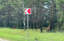 Деревья ломались как спички: под Ярославлем после урагана завалило трассу на Кострому