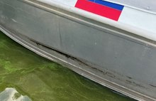 «Искупался в нефти»: по Волге под Ярославлем плывет пятно с нефтепродуктами