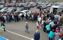 В Рыбинске выстроилась огромная очередь за кедрами