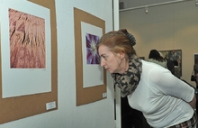 В Ярославле открылась выставка художников из Ханау. Фоторепортаж
