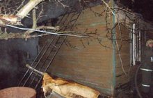 В Ярославской области при пожаре в деревянном доме погиб мужчина