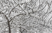 В Ярославле прогнозируется очередной снегопад