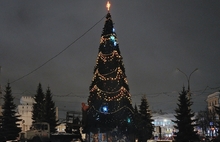 ​В Ярославле выбрана главная городская Новогодняя ёлка