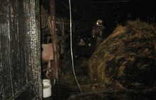 В Ярославской области горела животноводческая ферма