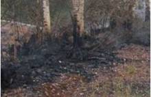 В Ярославской области горят леса и торфяники