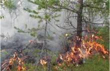 В Ярославской области под Некоузом снова горят торфяники