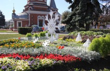 В Ярославле открылась «Цветочная Олимпиада» 
