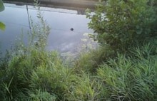 В реке Устье в Семибратово утонул 33-летний мужчина