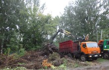 Из Ярославля вывезли более пятисот кубометров мусора
