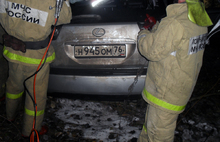 Водитель в ДТП на дороге Ярославль-Рыбинск погиб из-за лося