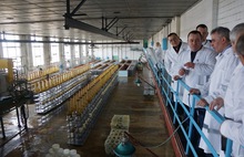 Депутаты областной Думы намерены возродить традиции сыроделия в регионе