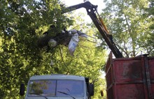 В Ярославле ликвидировали очередную несанкционированную свалку