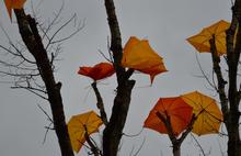 Оранжевые зонтики как  памятник 