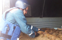 В Ярославской области обезврежено около восьмидесяти мин