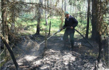 В Некоузском районе горит 0,2 га леса