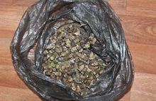 Сотрудники наркоконтроля изъяли в различных районах Ярославской области четыре килограмма маковой соломы