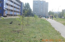 Во время экологического субботника в Ярославле привели в порядок почти сто гектаров городской территории