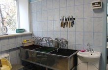 Депутаты муниципалитета Ярославля продолжили проверку организации питания в детских садах города