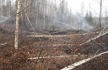 В Ярославской области вновь горят торфяники