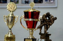Ярославец стал обладателем Кубка России по всестилевому каратэ