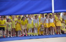 В Ярославле завершился межрегиональный турнир по художественной гимнастике