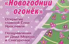 В Ярославле торжественно установят главную новогоднюю елку города
