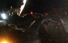 В Рыбинском районе водитель «Хендай» погибла при столкновении с лосем