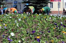 ​Более 5000 цветов высажено на клумбу на площади Волкова в Ярославле
