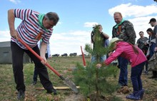 На родине Ушакова в Рыбинском районе посажено четыреста молодых сосен