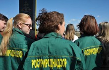 На родине Ушакова в Рыбинском районе посажено четыреста молодых сосен