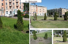 В Рыбинске проходит конкурс «Цветущий город»