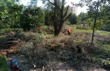 На реконструкцию парка «Рабочий сад» в Ярославле потратят еще 8,5 миллионов рублей