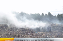Под Рыбинском полтора месяца горит огромная свалка мусора