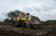 В Ярославской области уничтожили еще 150 килограммов санкционных фруктов