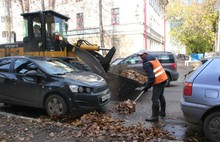 В Ярославле за сутки убрано около 250 кубометров опавшей листвы